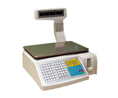 BCS-100�l�a��