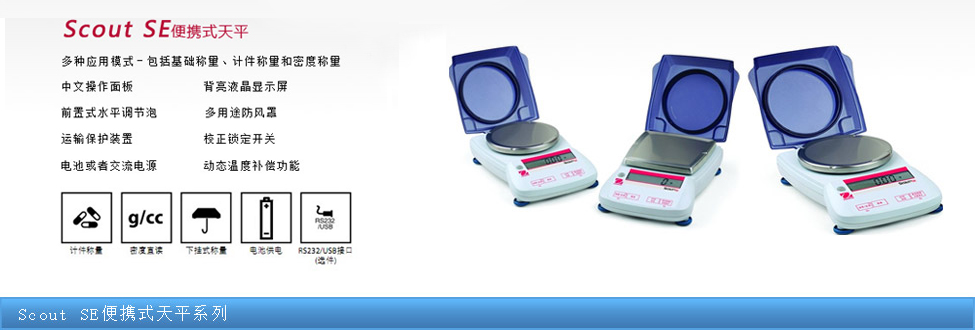 Scout SE��yʽ��ƽϵ��