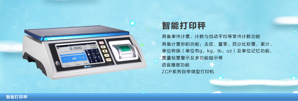 ���ܴ�ӡ��