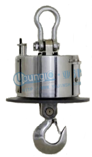 �o���͸ߜ���ӵ���